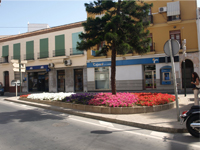Floresur S.L.- Ajardinamientos y estudios hidrol&oacute;gicos en M&aacute;laga- Andaluc&iacute;a
