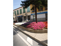 Floresur S.L.- Ajardinamientos y estudios hidrol&oacute;gicos en M&aacute;laga- Andaluc&iacute;a